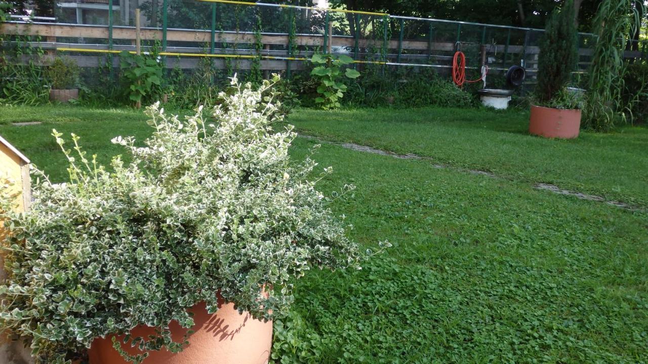 Ranspach-le-Bas Hotel Sud Alsace מראה חיצוני תמונה
